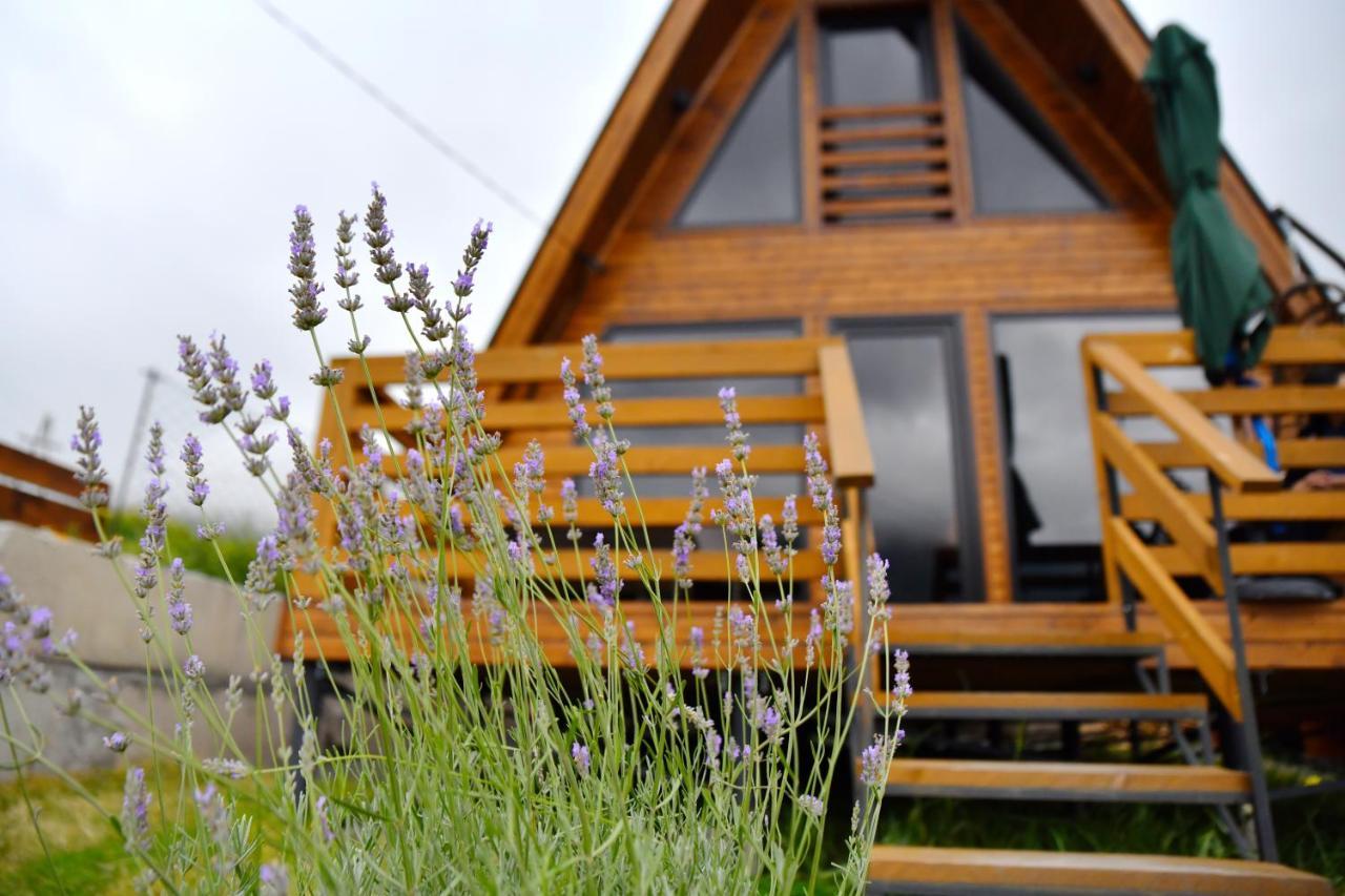 Kazbegi Spa Resort Cottages Esterno foto